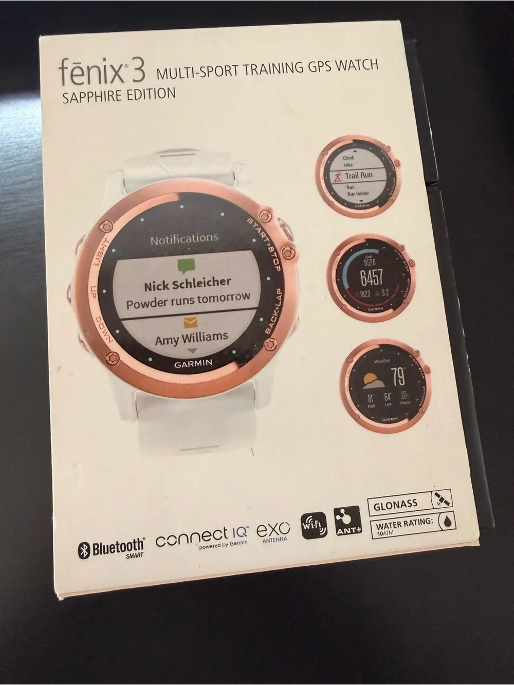 garmin Fenix 3 Sapphire Edition Multi Sport Training GPS Watch-Rose Gold Bezel